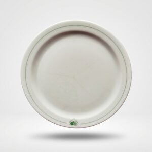 Klasikinio dizaino balta lėkštė 20 cm su plona žalia linija aplink kraštą, nufotografuota iš viršaus baltame fone.